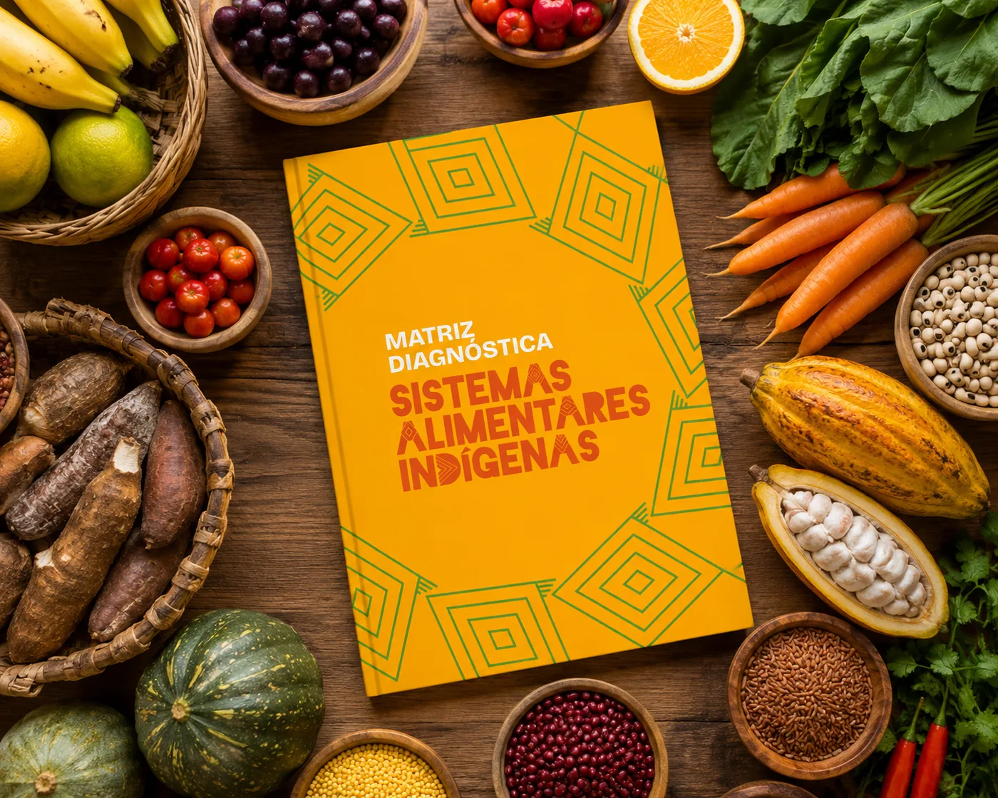 Publicação da Matriz Diagnóstica de Sistemas Alimentares Indígenas cercada por alimentos tradicionais